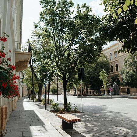 Contessa Apartment Cluj Napoca Bagian luar foto