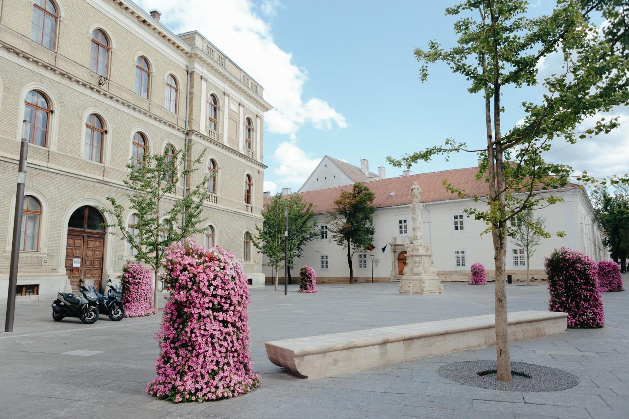 Contessa Apartment Cluj Napoca Bagian luar foto