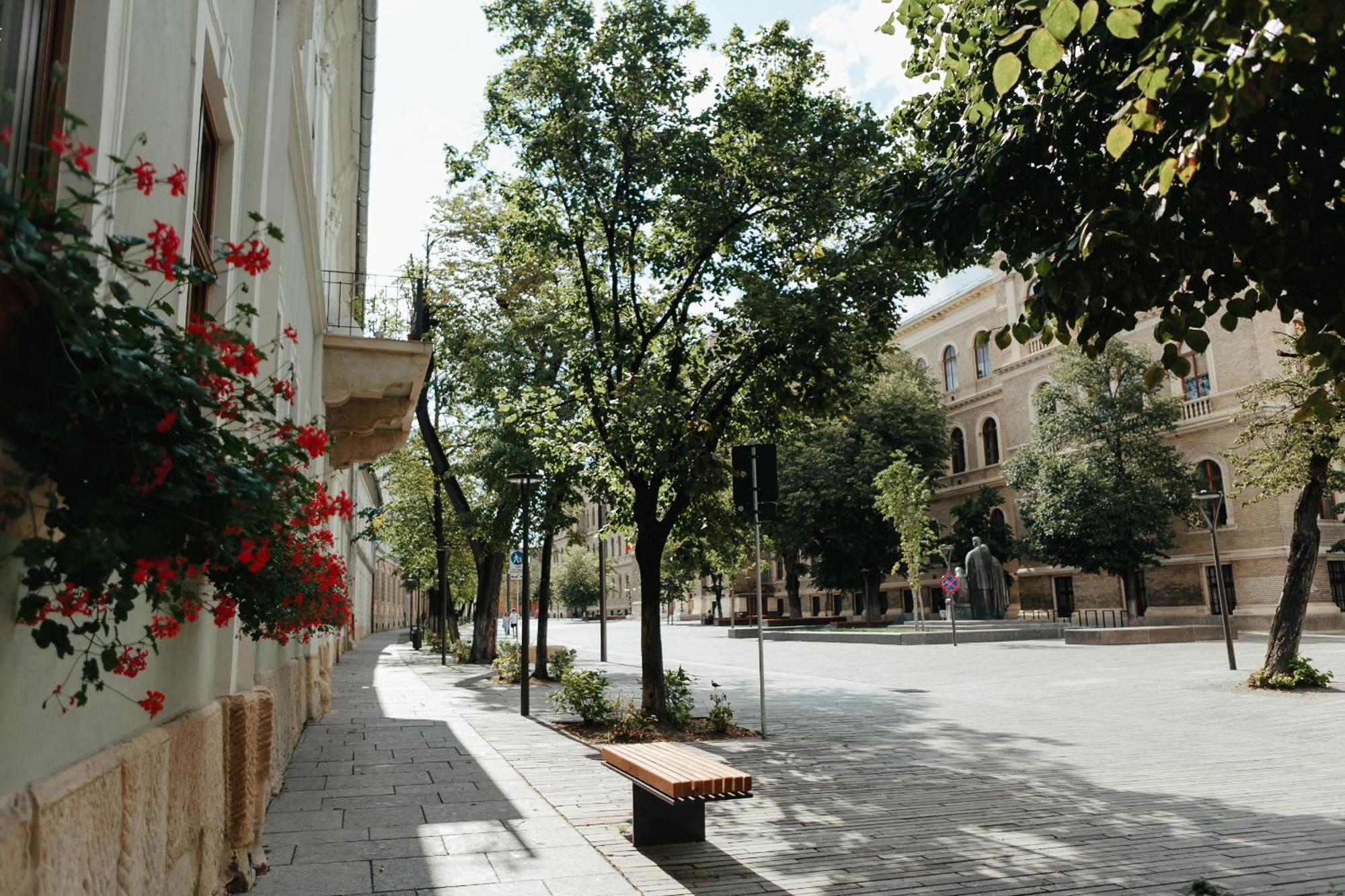 Contessa Apartment Cluj Napoca Bagian luar foto
