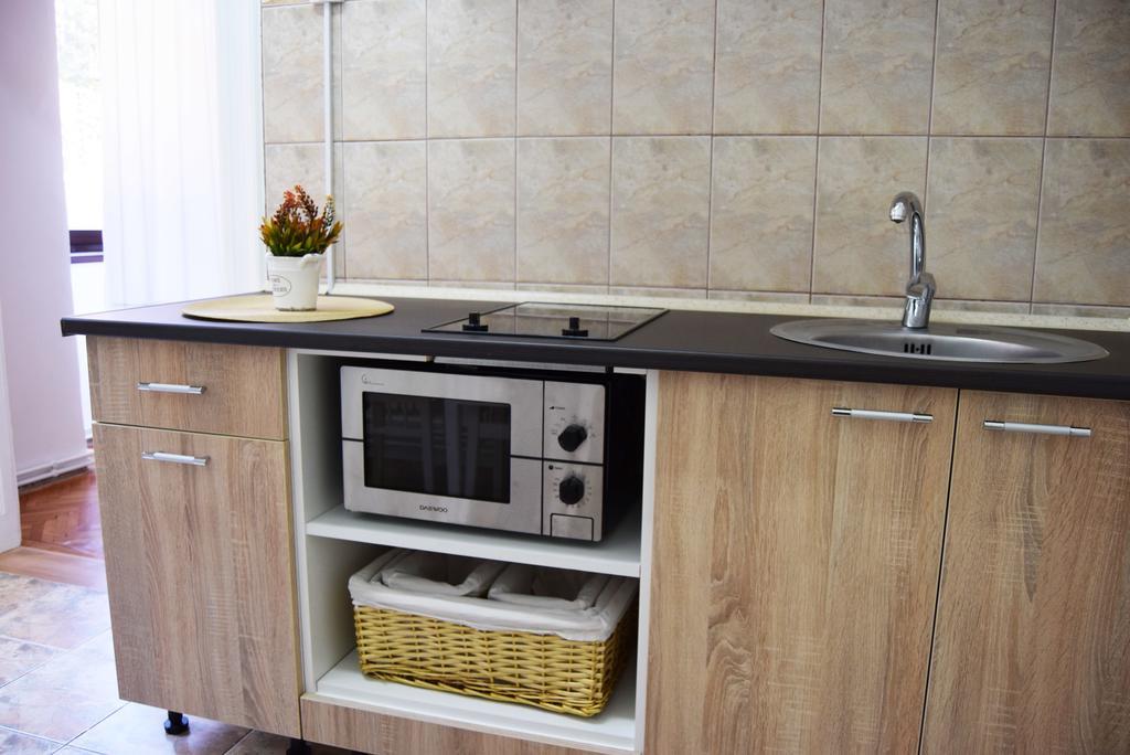 Contessa Apartment Cluj Napoca Bagian luar foto