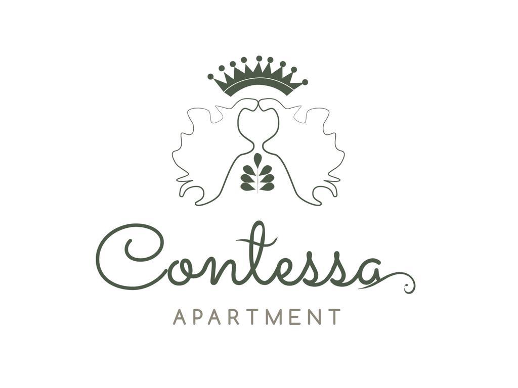Contessa Apartment Cluj Napoca Bagian luar foto