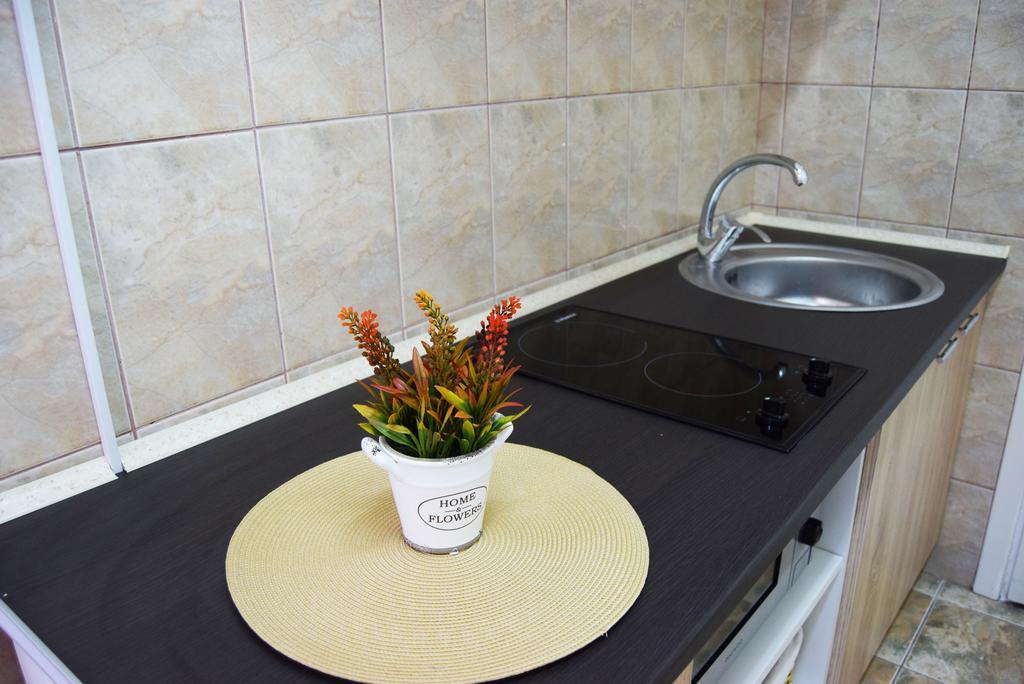 Contessa Apartment Cluj Napoca Bagian luar foto