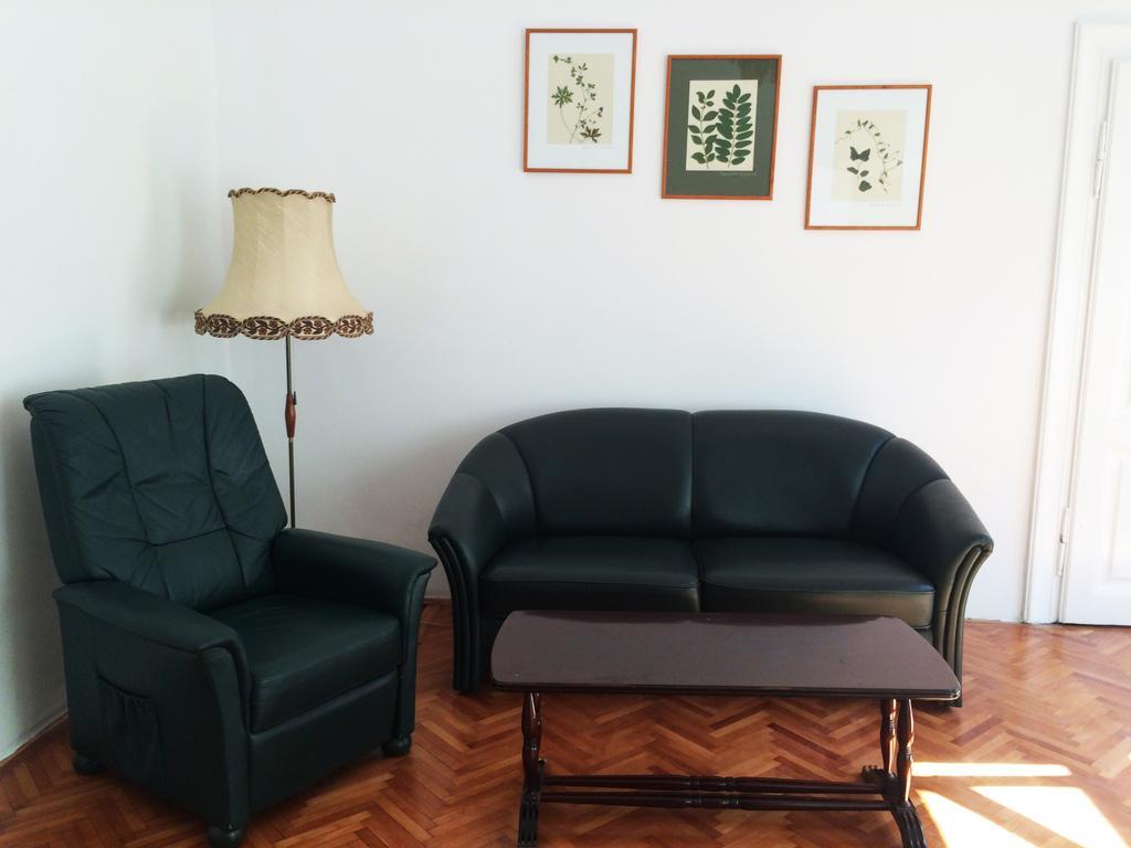Contessa Apartment Cluj Napoca Bagian luar foto